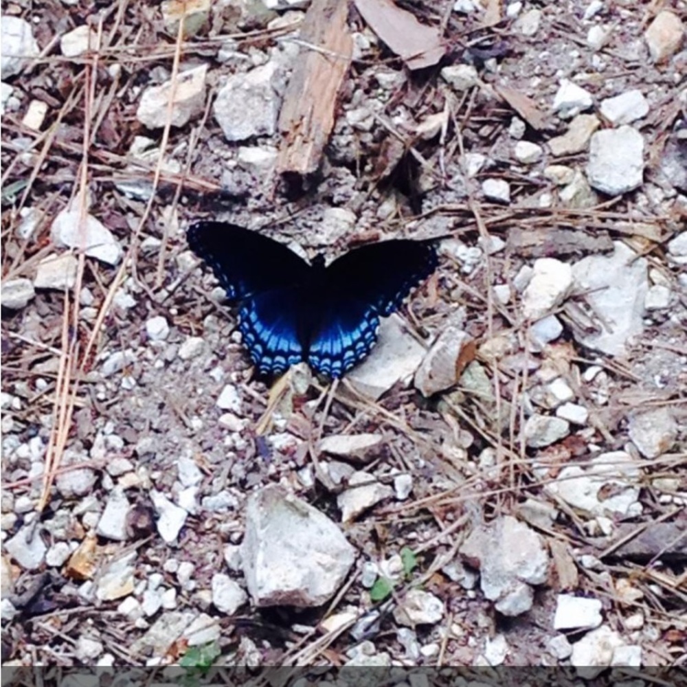 Meet your Posher, Sandra